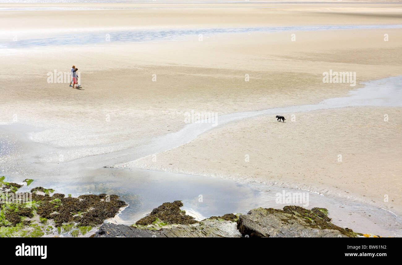 Walkers and Dog Enjoying a Stroll on a Beach at the Estuary of the River Dwyryd, near Portmeirion, North Wales Stock Photo
