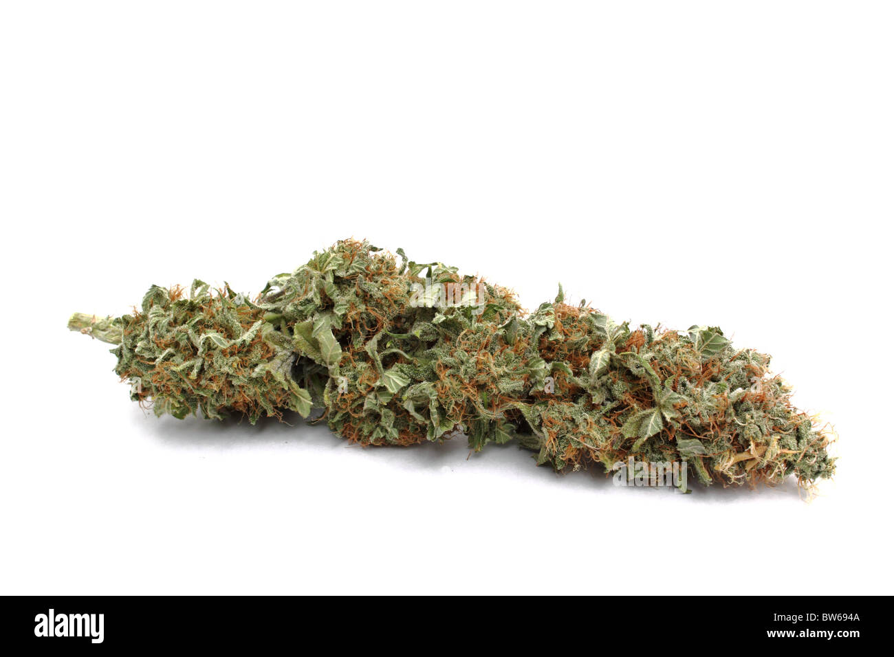 Marijuana ( cannabis ) bud isolated on white background. Stock Photo