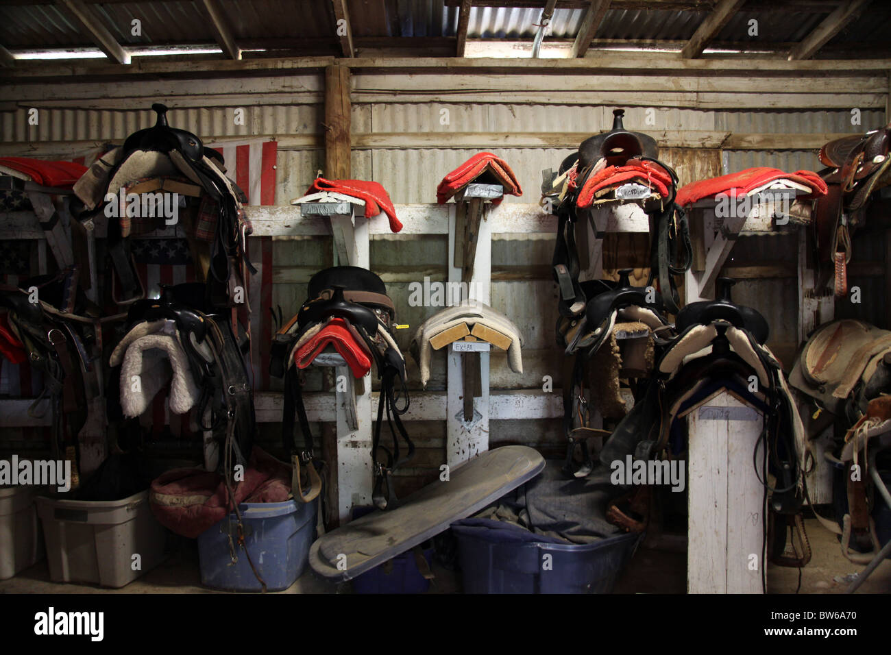 Western saddles being stored after use Stock Photo