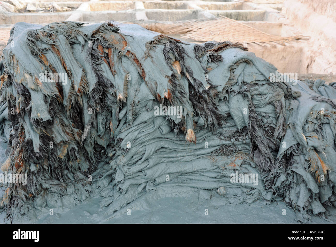 Animal skin skins clothing hi-res stock photography and images - Alamy