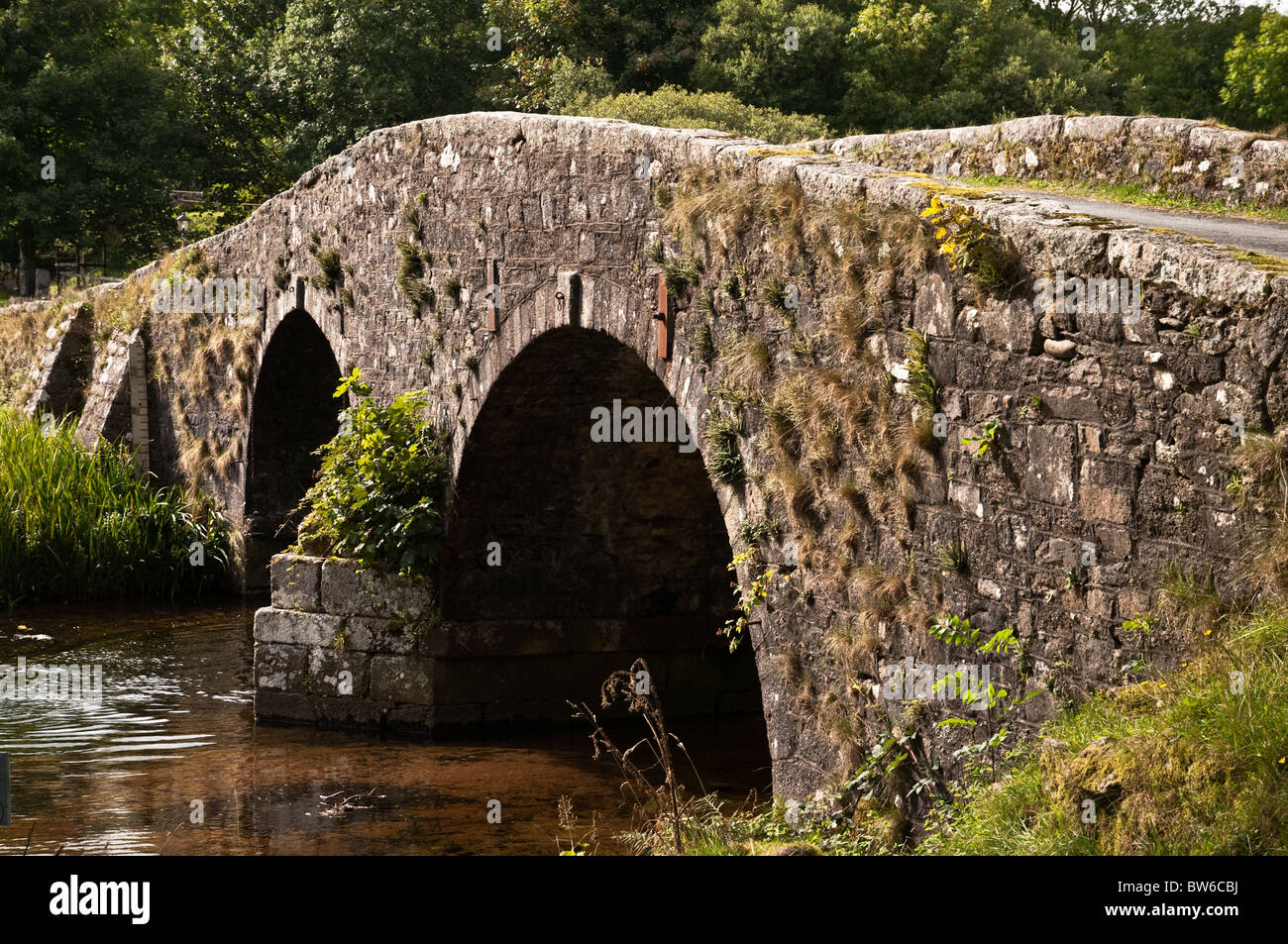 Old stone clapper bridge, Dartmoor Stock Photo
