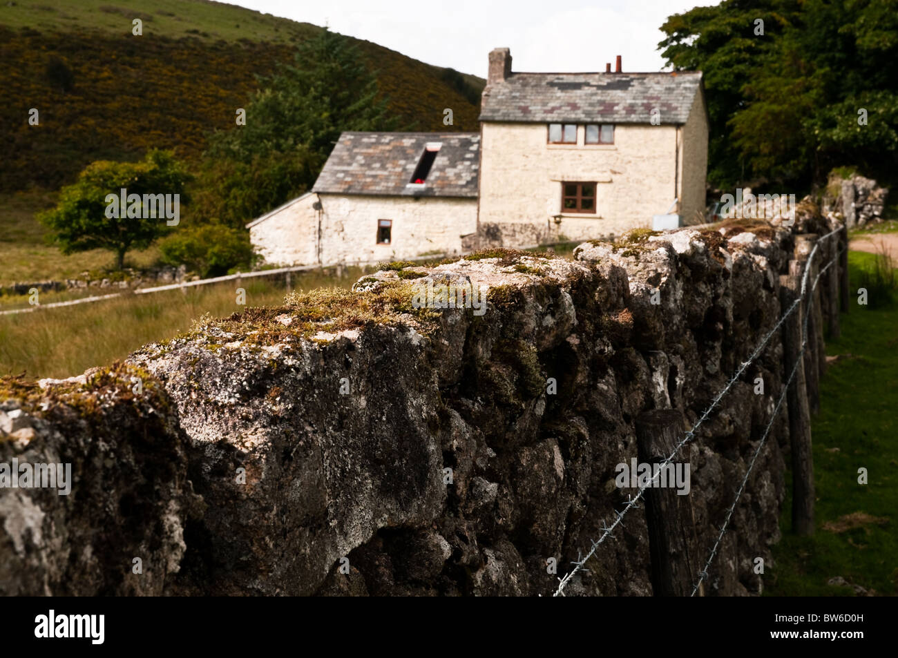 Old stone wall and house, Dartmoor Stock Photo