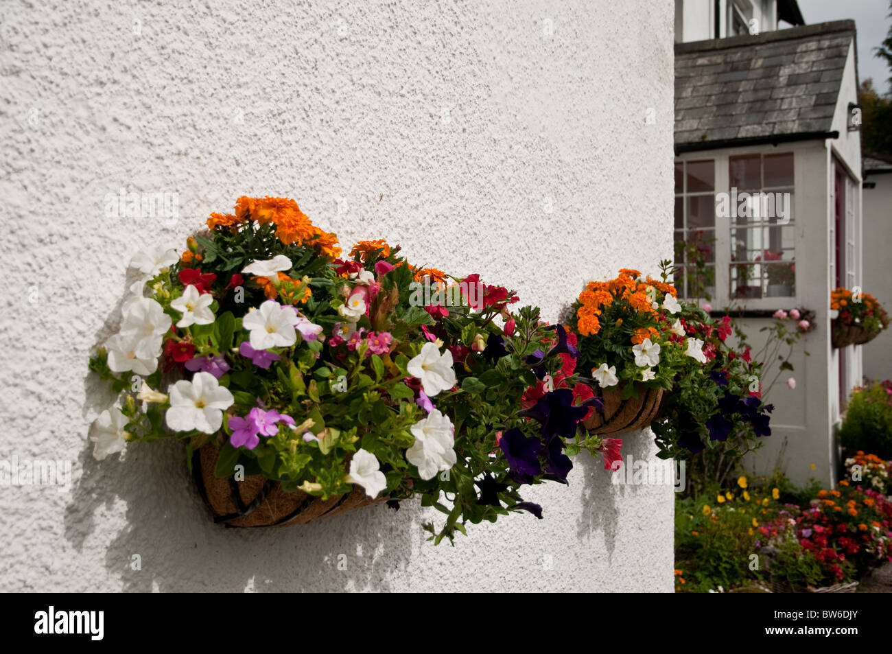 Colourful flower pots on the wall of a B&B, Dartmoor Stock Photo Alamy
