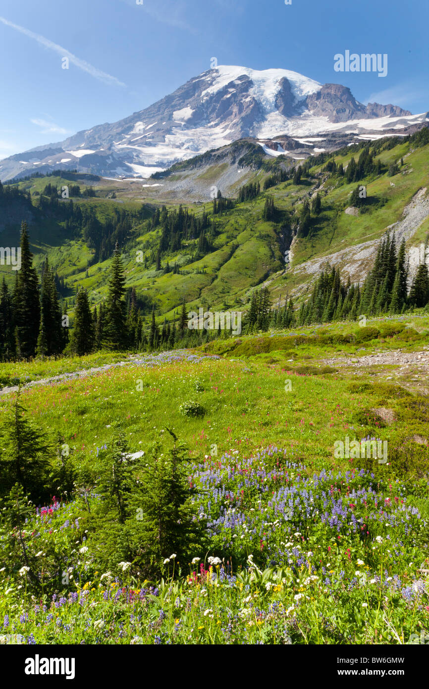 Mount Rainier Washington, USA Stock Photo