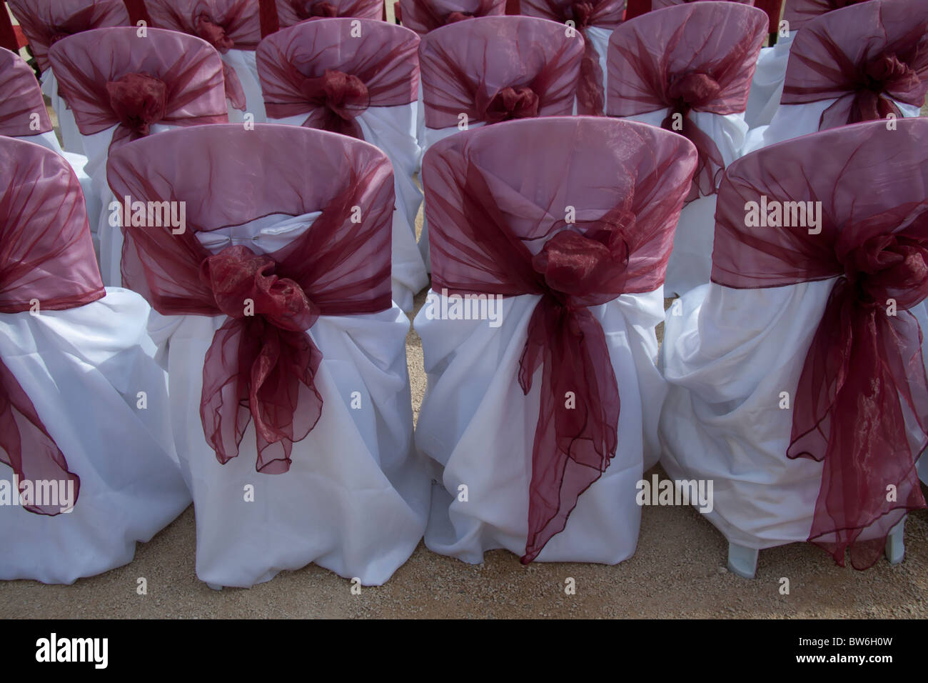 plastic wedding chairs Stock Photo Alamy