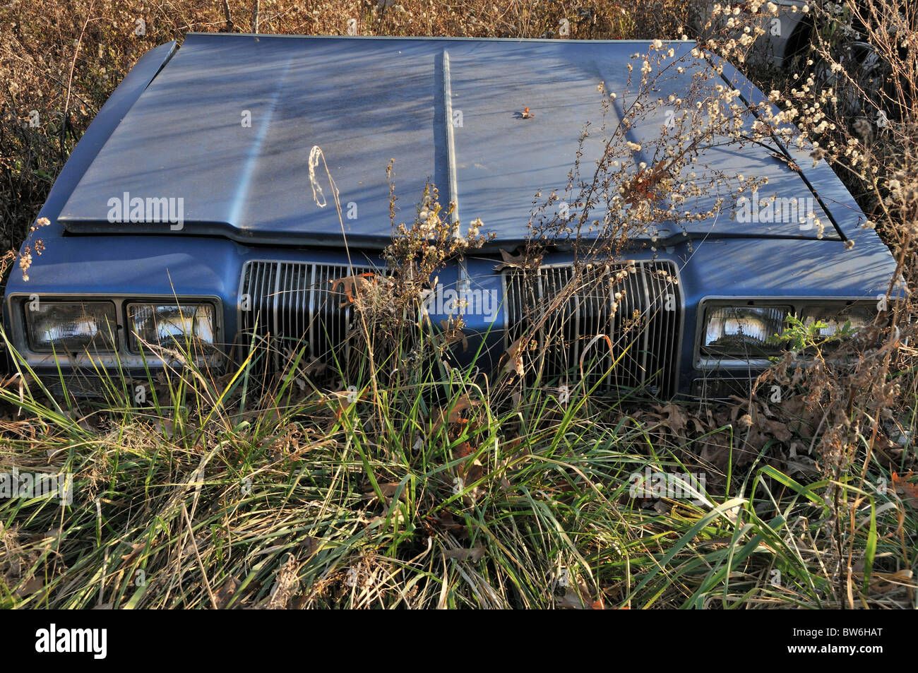 Abandoned car hood, Outdoors, Front View Stock Photo - Alamy