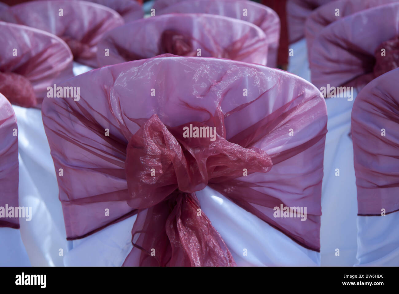 Decorated plastic wedding chairs in a wedding hall Stock Photo Alamy