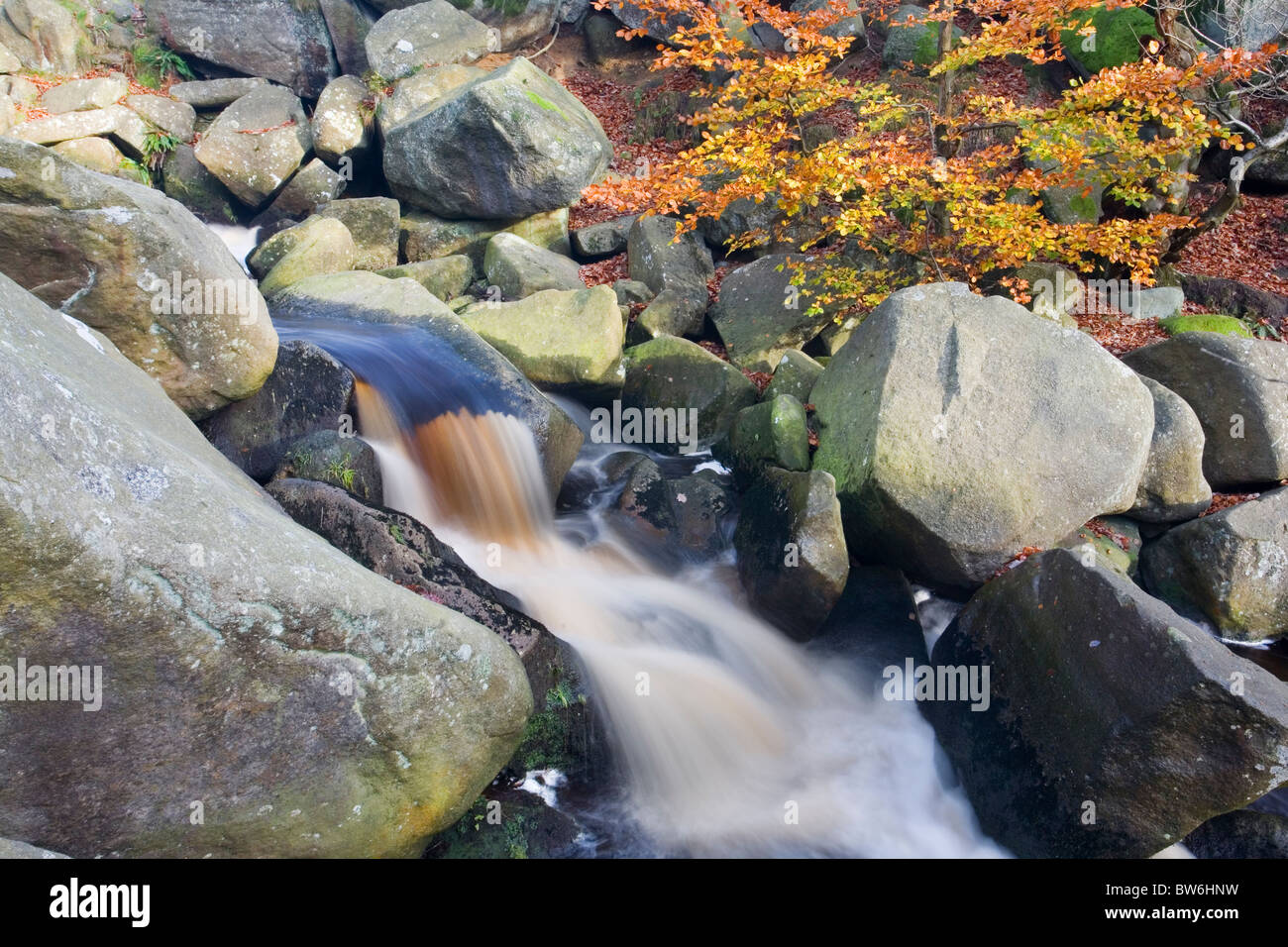 Small waterfall and Autumn colour at Padley Gorge on The Longshaw Estate at Nether Padley in The Derbyshire Peak District U.K Stock Photo
