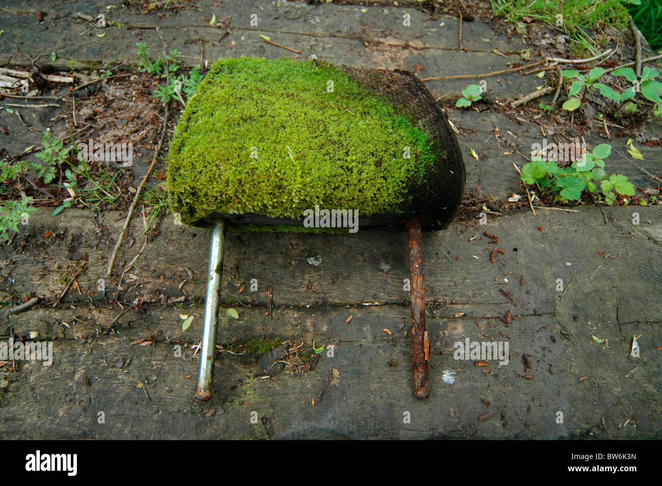 A headrest from a car gradually returning to the earth. Stock Photo