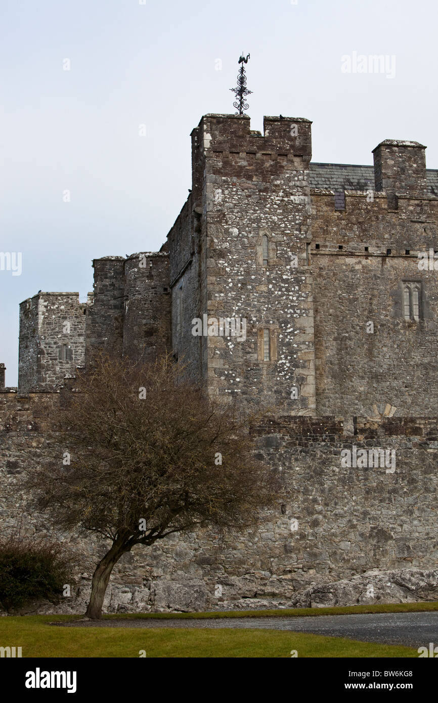 Cahir Castle. Ireland. Stock Photo