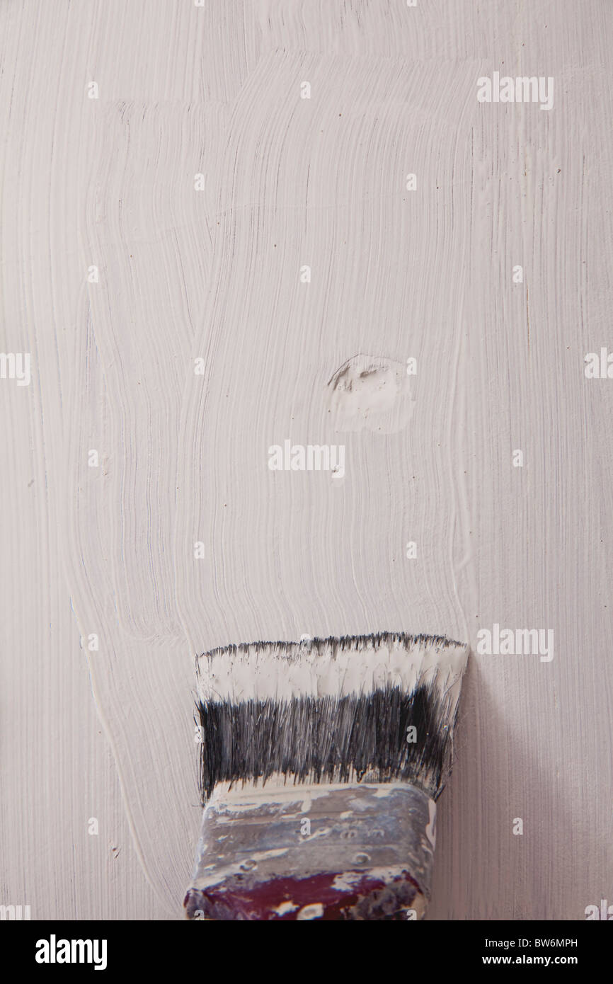 Paint being applied to a wall with a brush Stock Photo Alamy