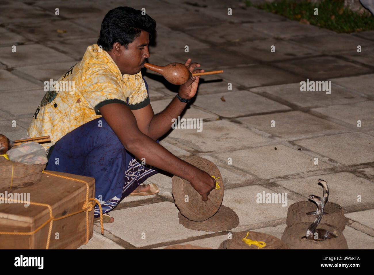 Snake charmer charming cobras, Sri Lanka Stock Photo