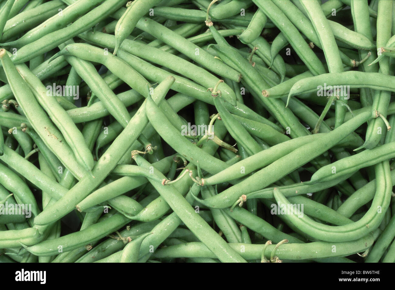 Green Runner Beans (Phaseolus vulgaris nanus) seen from above, studio picture Stock Photo