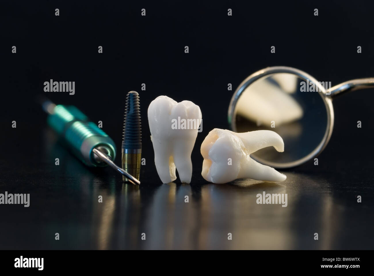 Real Human Wisdom teeth and Dental instruments Stock Photo