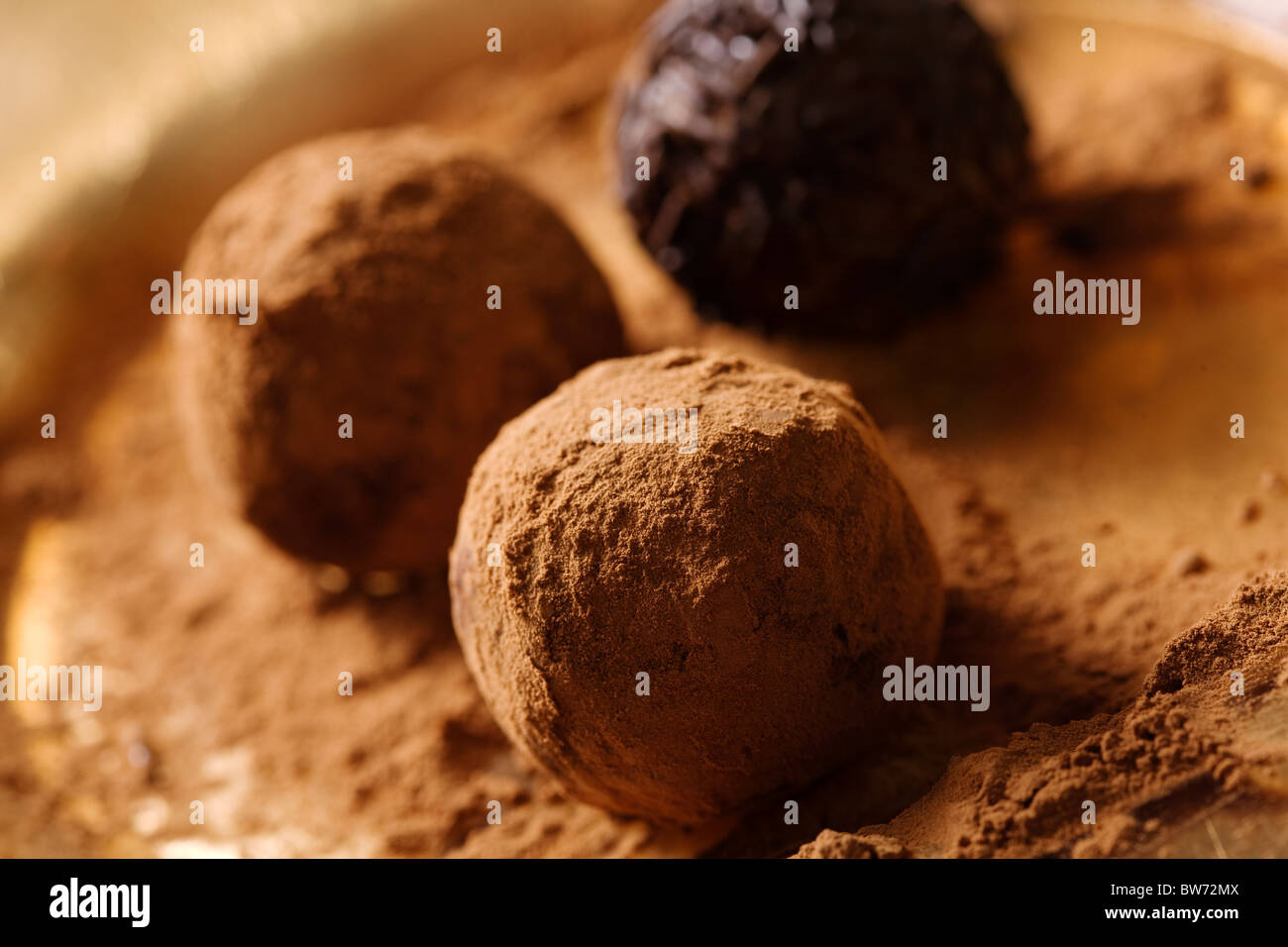 closeup of luxury truffles, shallow focus Stock Photo