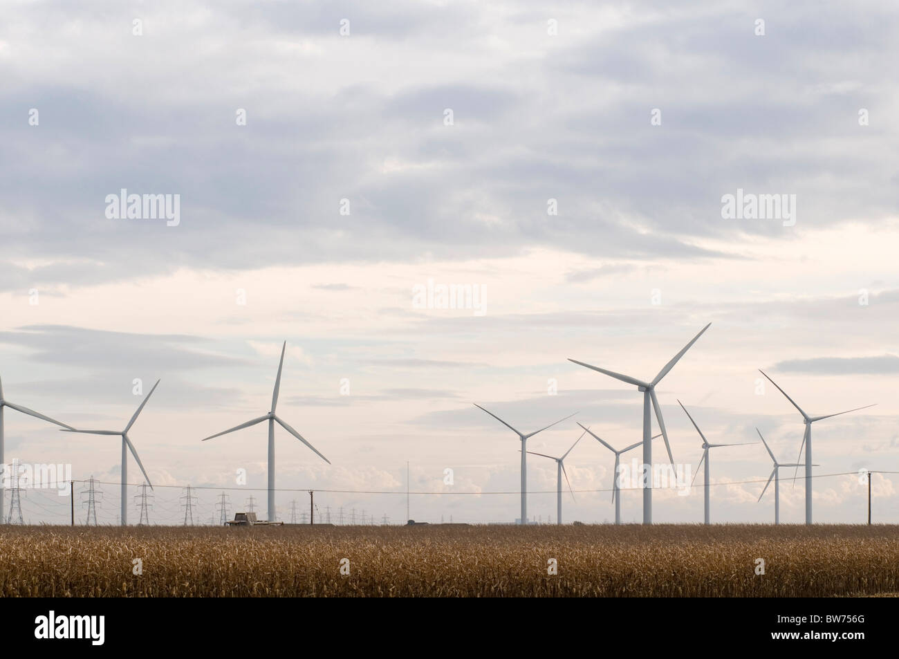 windturbine electrcity generator Generation windfarm windfarms national grid rwe npower renewables little cheyne court 26 turbin Stock Photo