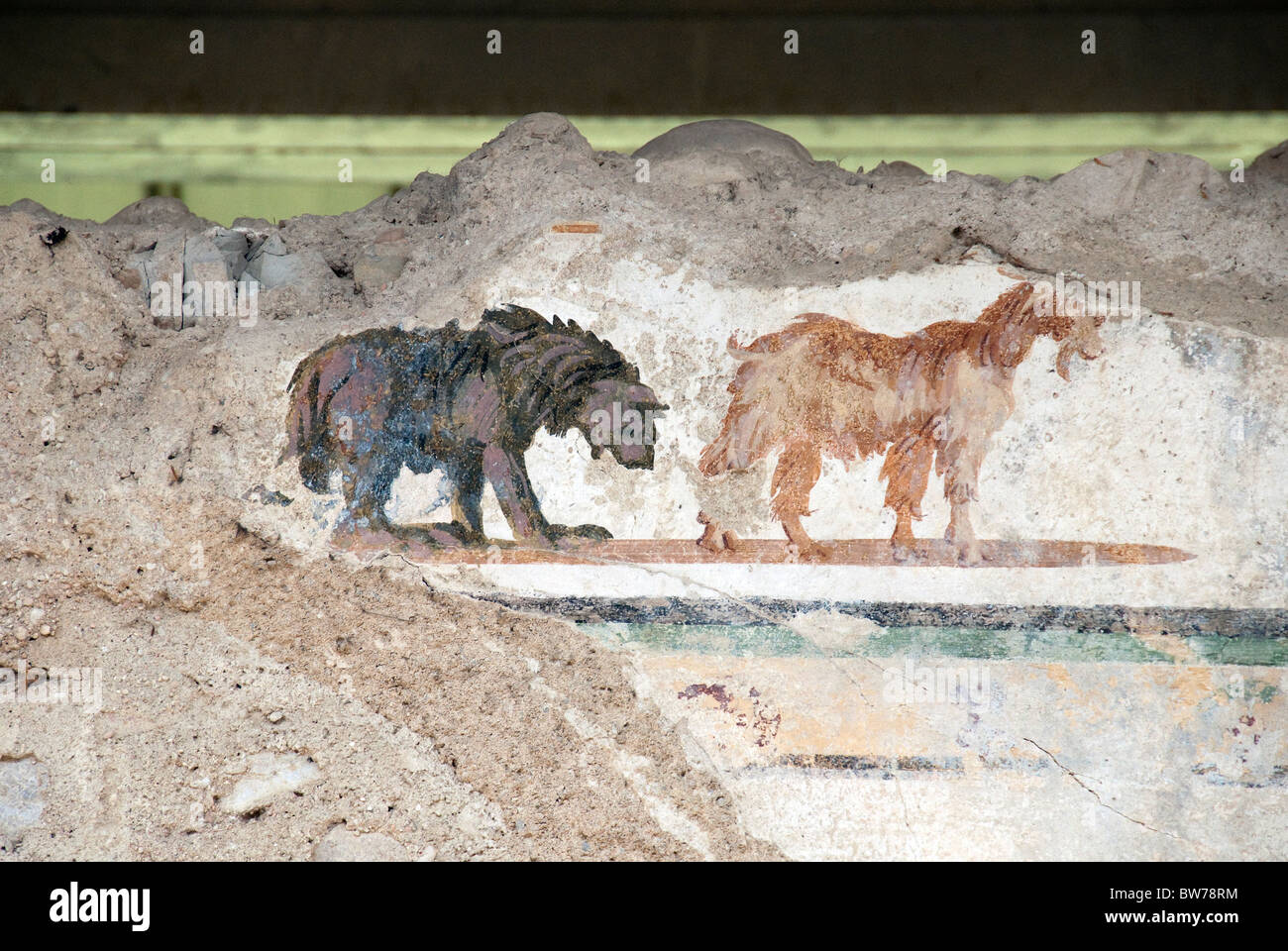 frescoes of a hairy bear and a goat in  the ancient roman city of Urbs Salvia, Le Marche, Italy Stock Photo