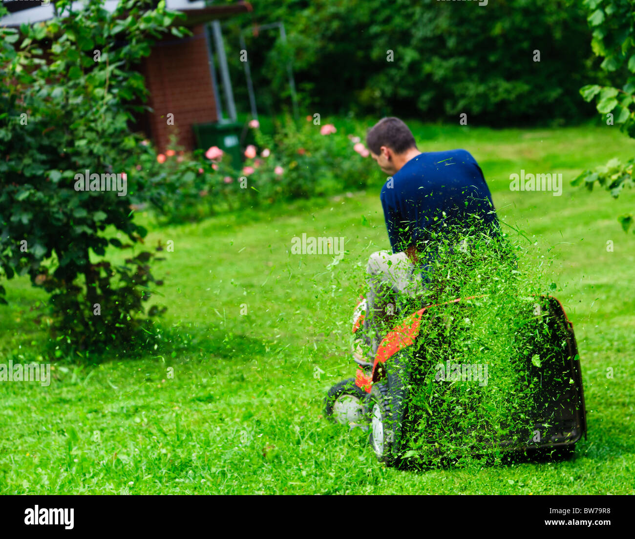 Ride-on lawn mower cutting grass. Focus on grasses in the air. Stock Photo