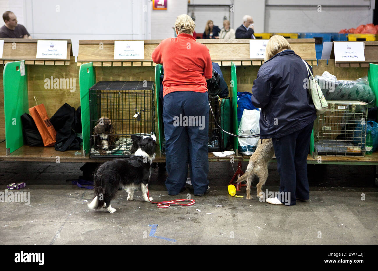 Dog breeders and owners and Discover Dogs show, Earls Court. Stock Photo