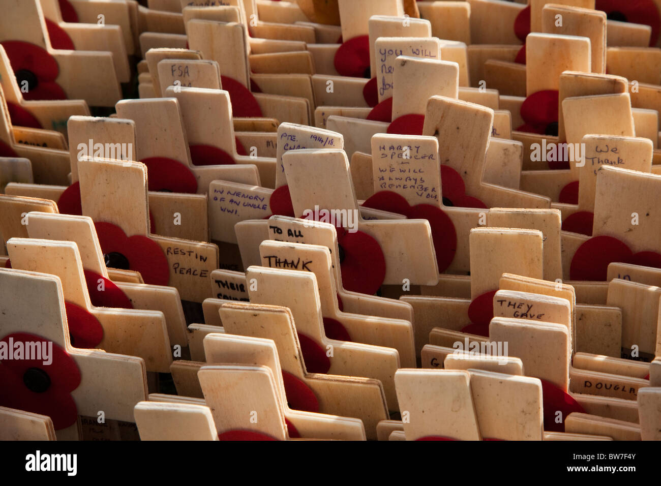 LONDON, ENGLAND - Poppies and Crosses on Field of Remembrance at ...