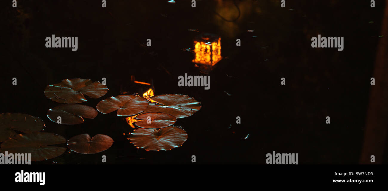 Pond lights night garden uk hires stock photography and images Alamy