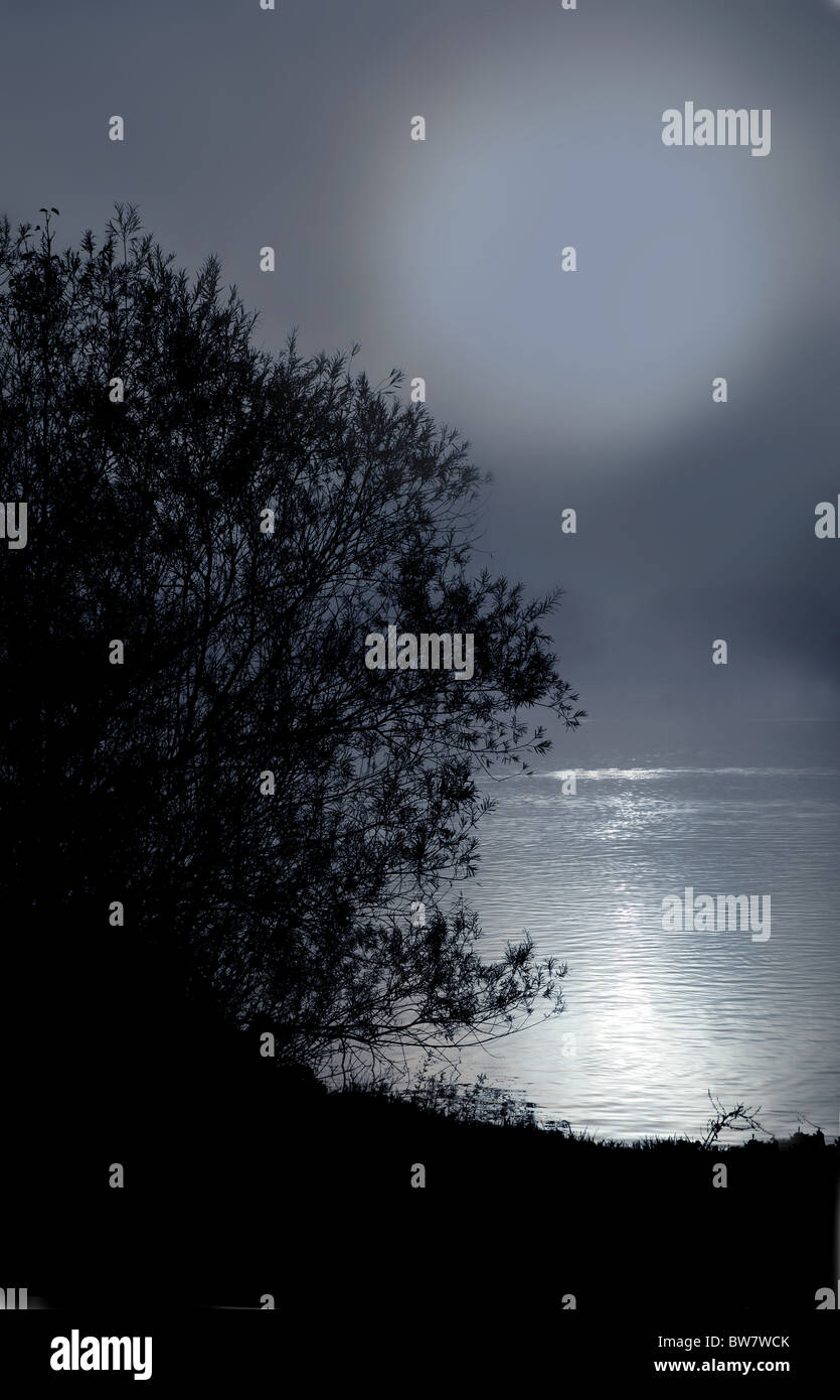 Sun or Moonlit lake with light reflecting on the water Stock Photo