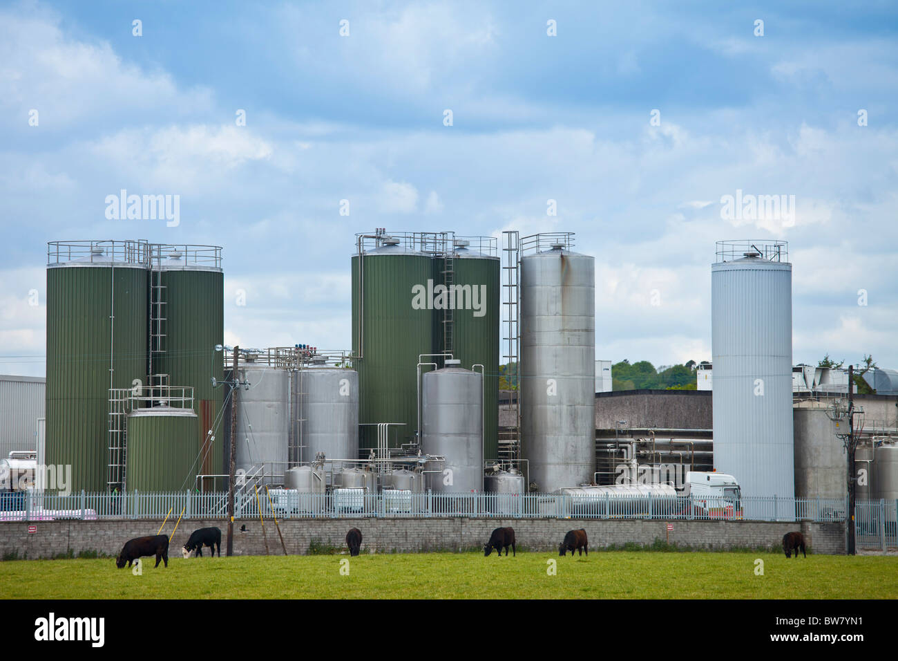 Dairygold Agri milk and cheese processing plant works at Mogeely Stock