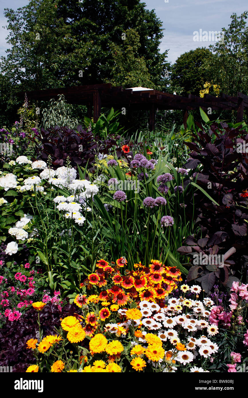 A COLOURFUL SUMMER FLOWER BORDER Stock Photo - Alamy