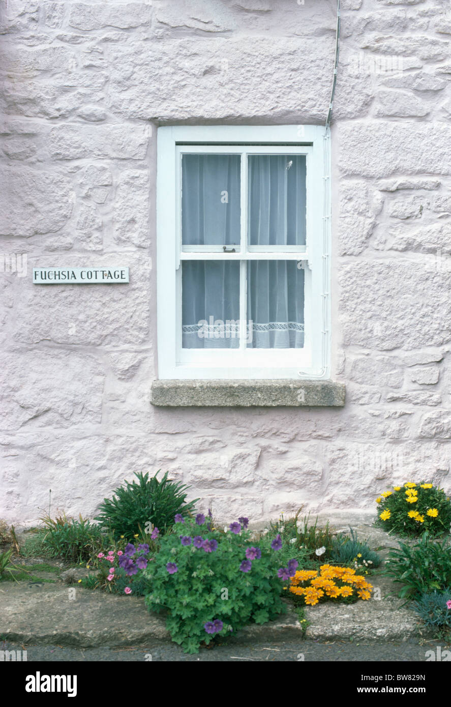 Yellow flowering plants in small border below white painted cottage with sash window and interior net curtain Stock Photo