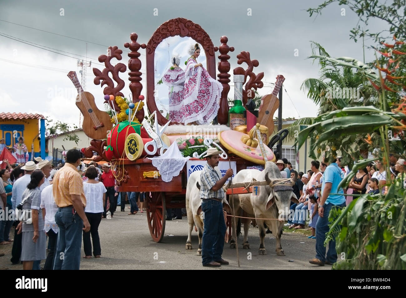 An elaborate float is lead by a team of bulls around the plaza during the Carriage Festival in Pedasi Panama. Stock Photo