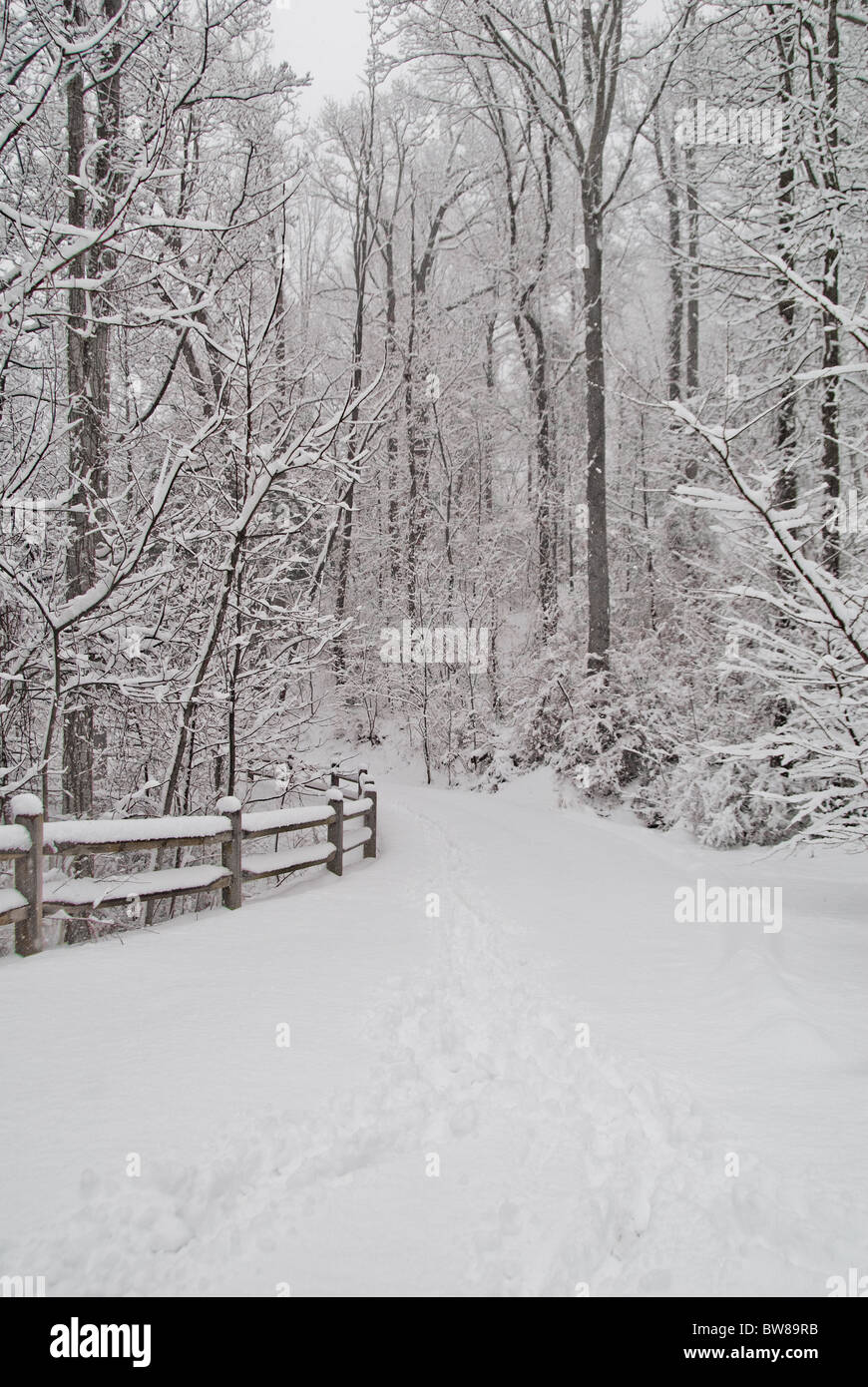Country lane in the snow, Asheville, North Carolina, USA Stock Photo