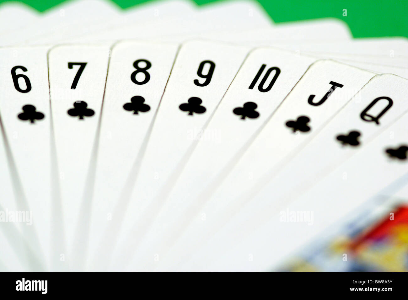 Playing cards suit of clubs Stock Photo Alamy