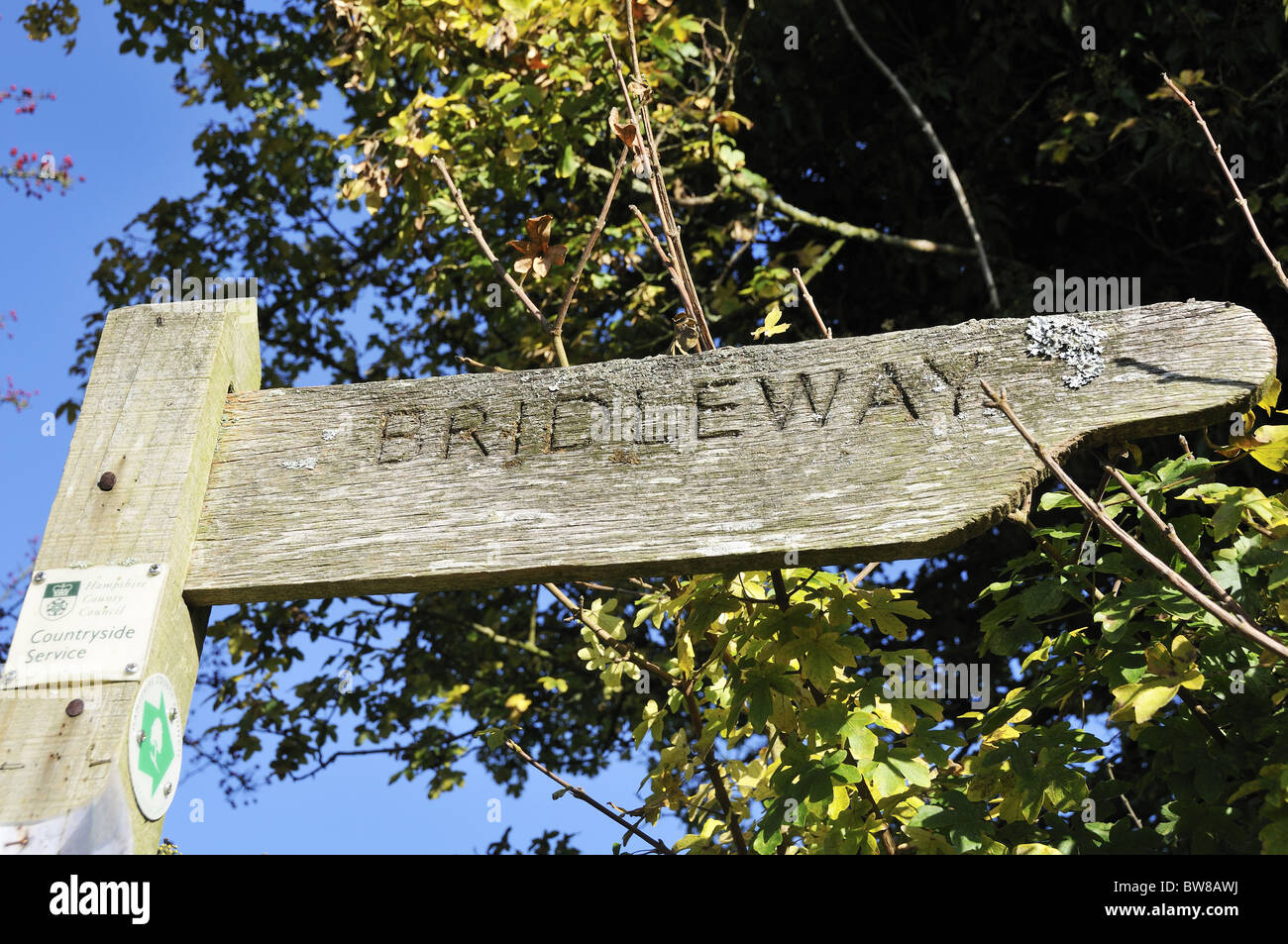 Wooden Bridleway signpost (finger post)  showing public footpath with background of trees and blue sky near Newton Valence, Hampshire, England, UK Stock Photo