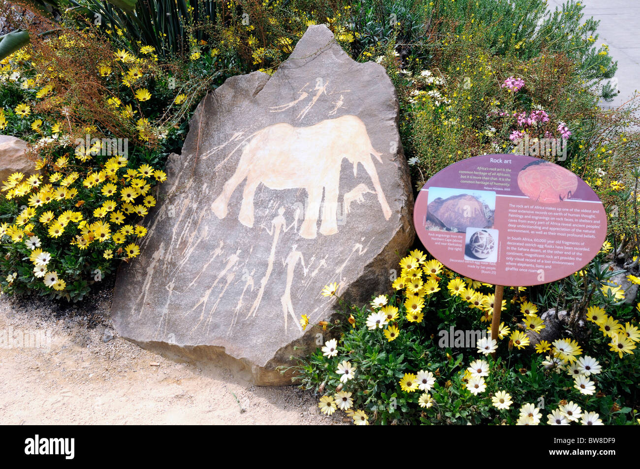 African Rock Art a rock engraving from the Northern Cape, South Africa with sign displayed in garden outside the British Museum Stock Photo