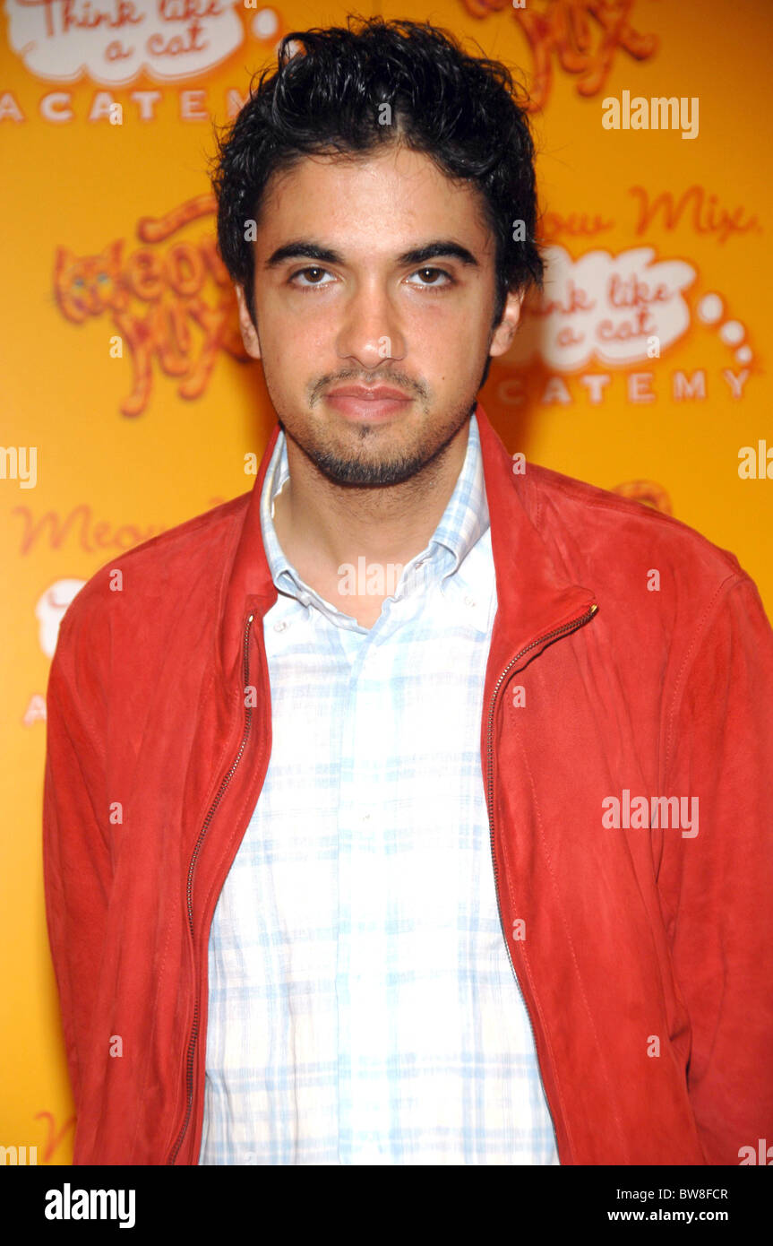 The MEOW MIX ACADEMY Launch Party Stock Photo Alamy