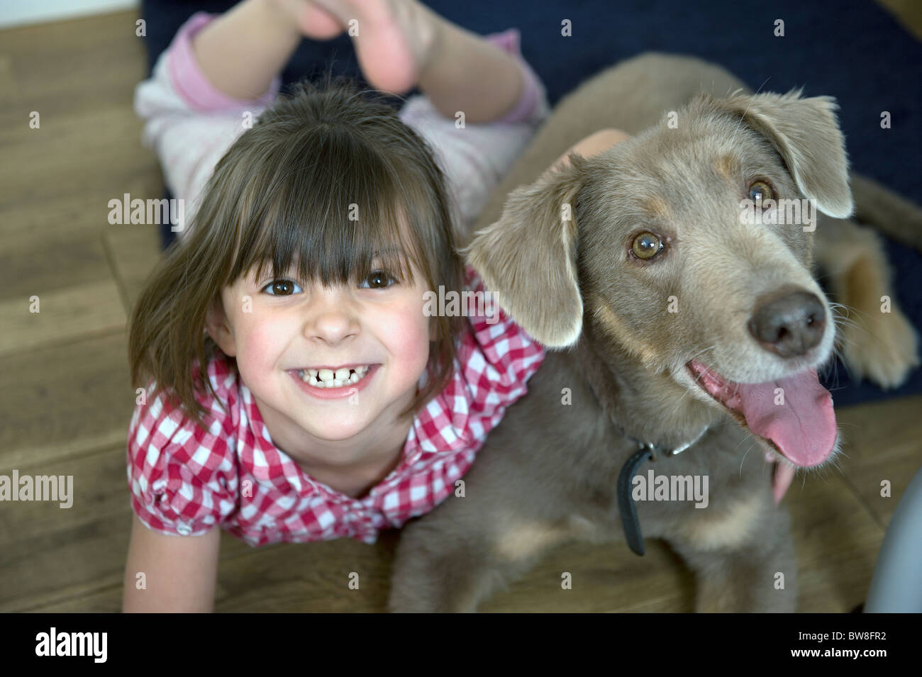 A smiling happy young girl aged six with her arms around her pet dog. Stock Photo