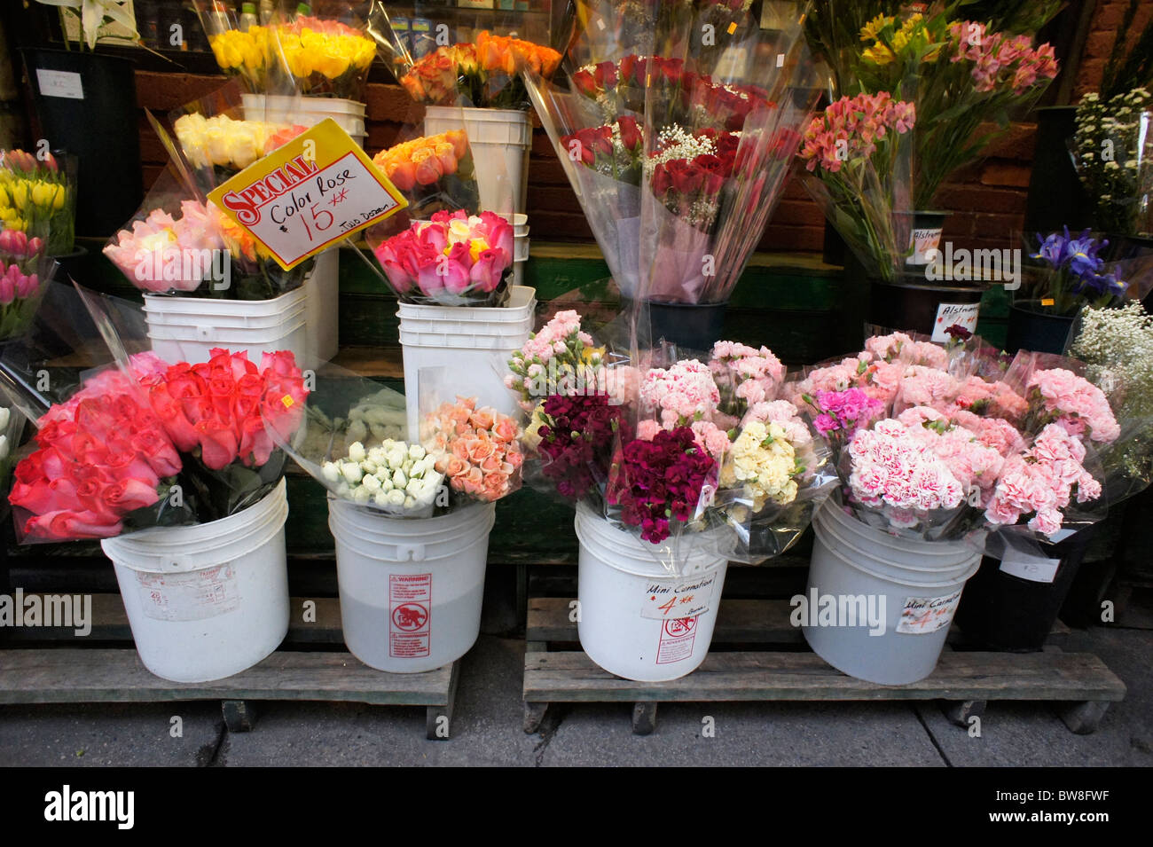 Buckets Of Flowers High Resolution Stock Photography and Images - Alamy