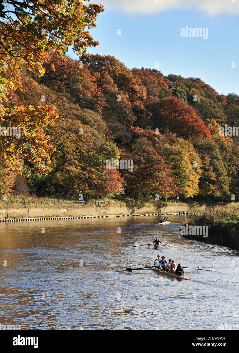 Rowing on the river Wear in Durham City, England, UK Stock Photo