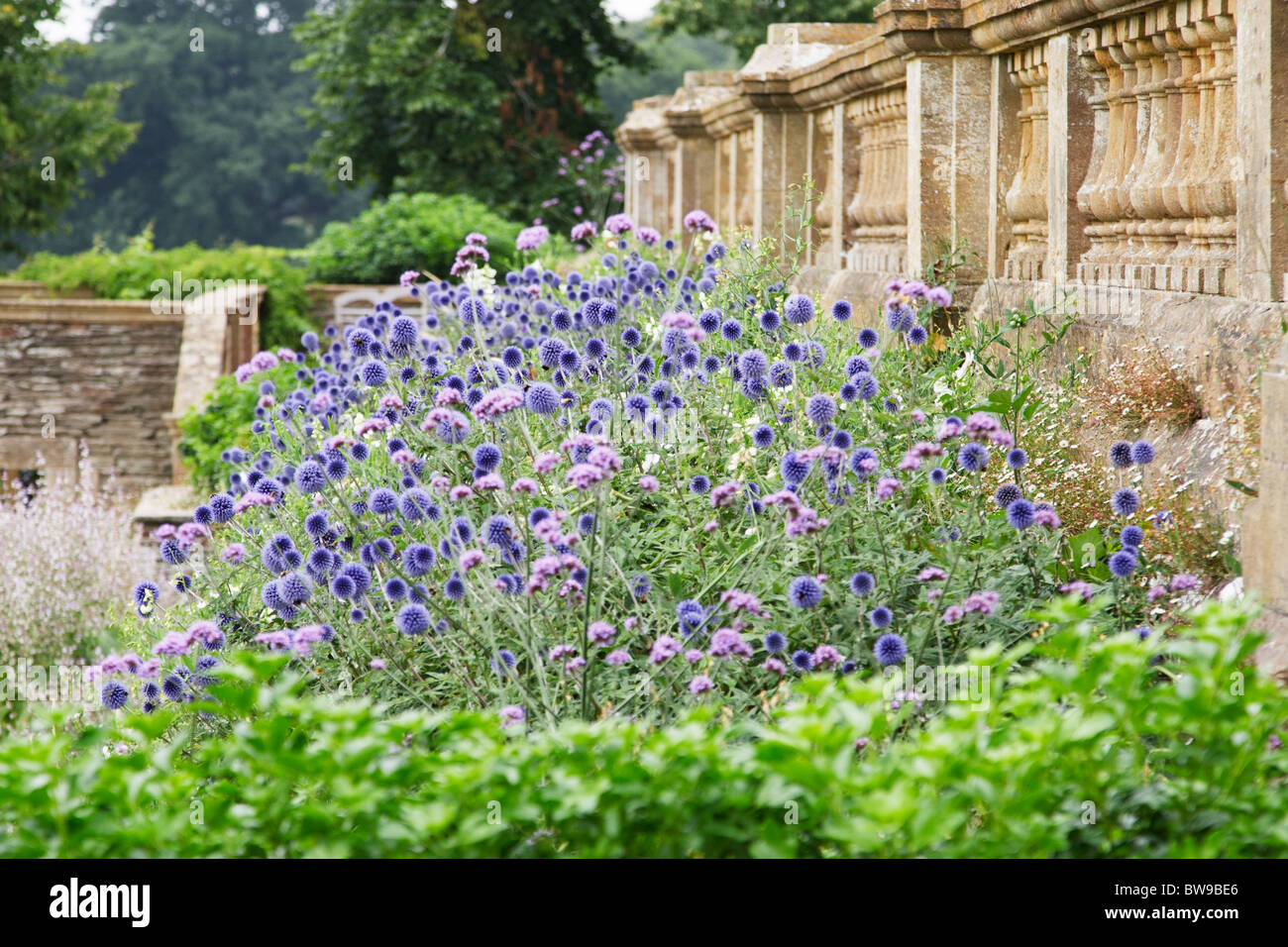 Gertrude jekyll gardens hires stock photography and images Alamy