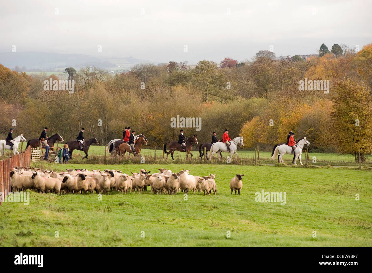 Kilkenny Hunt . Ireland Stock Photo Alamy