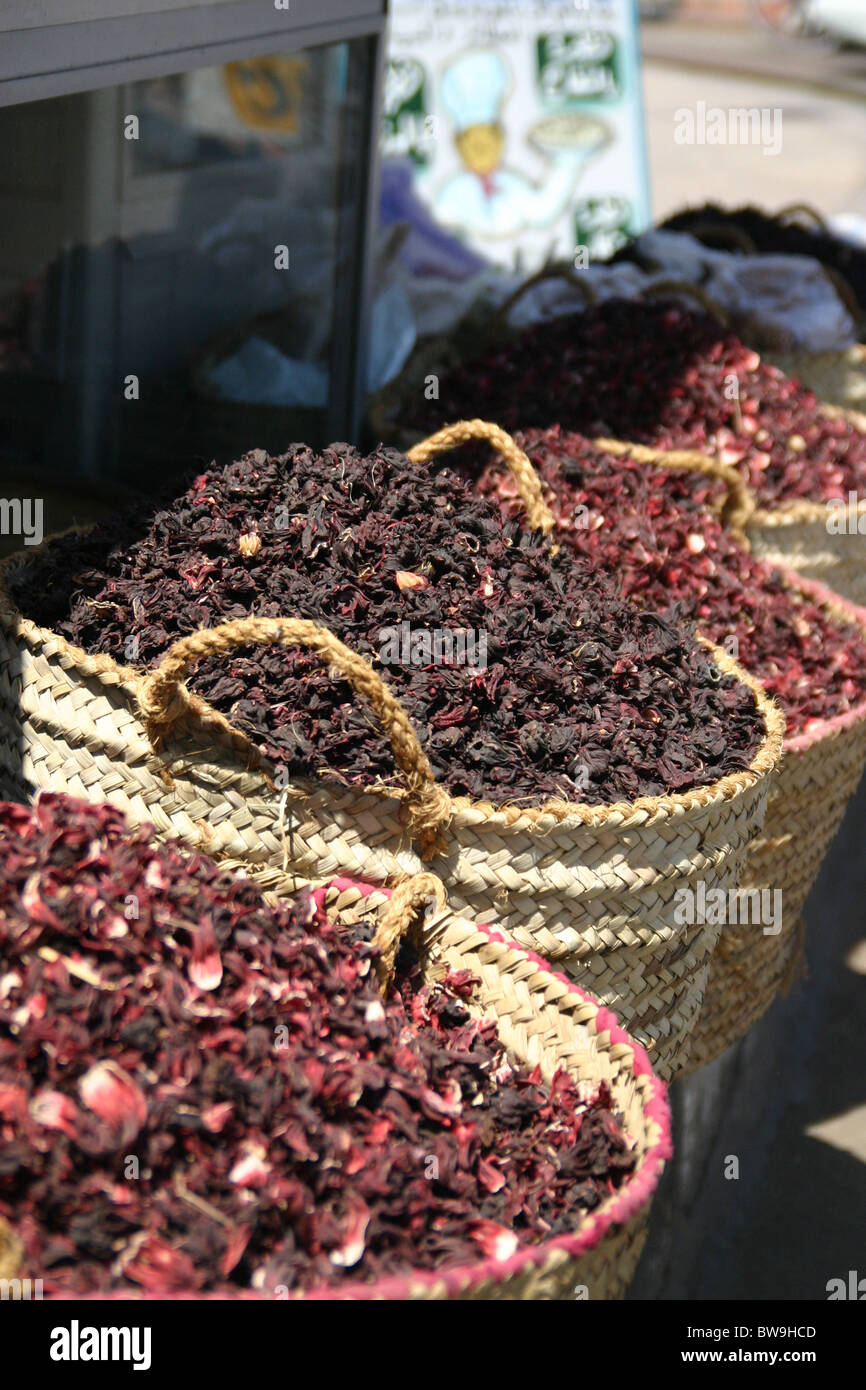 This is the flower of the Hibiscus plant used to make tea Stock Photo