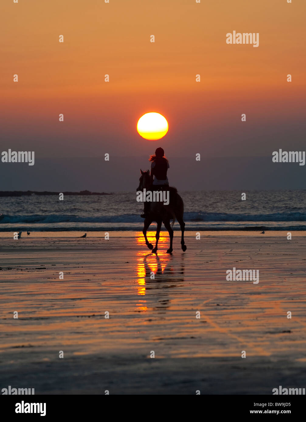 Girl riding pony  on beach at sunset, Westward Ho! Devon UK Stock Photo