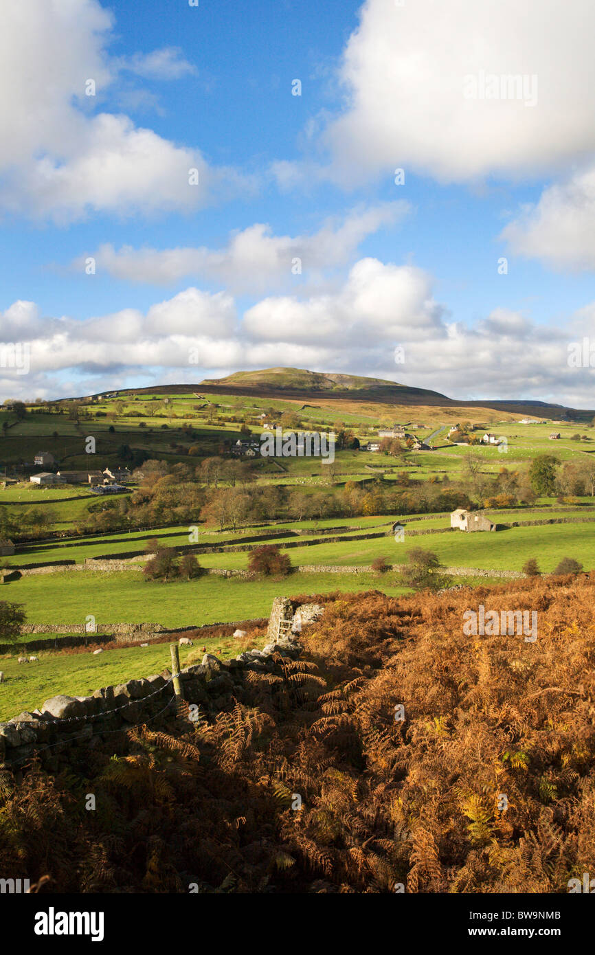 Calver Hill near Reeth Swaledale North Yorkshire England Stock Photo