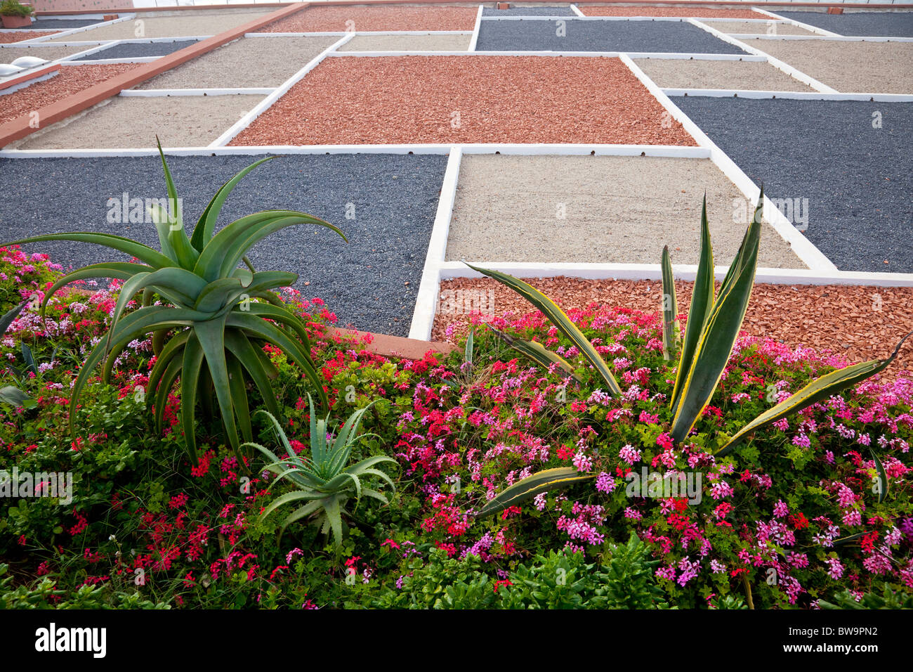 Tropical vegetation and flowers with a gravel roof pattern on the Corniche in Casablanca, Morocco. Stock Photo