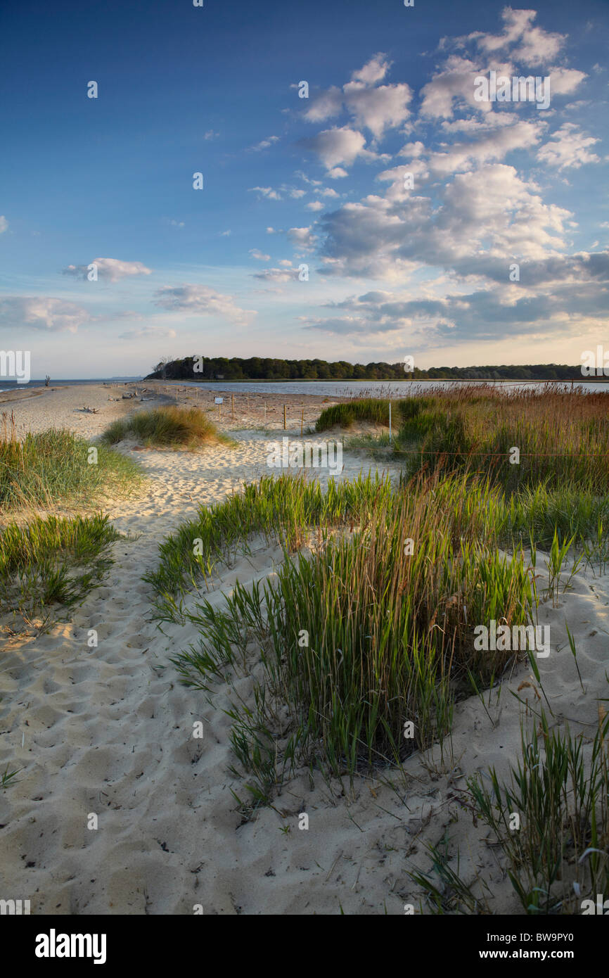 Benacre Beach in Suffolk, England, UK Stock Photo - Alamy