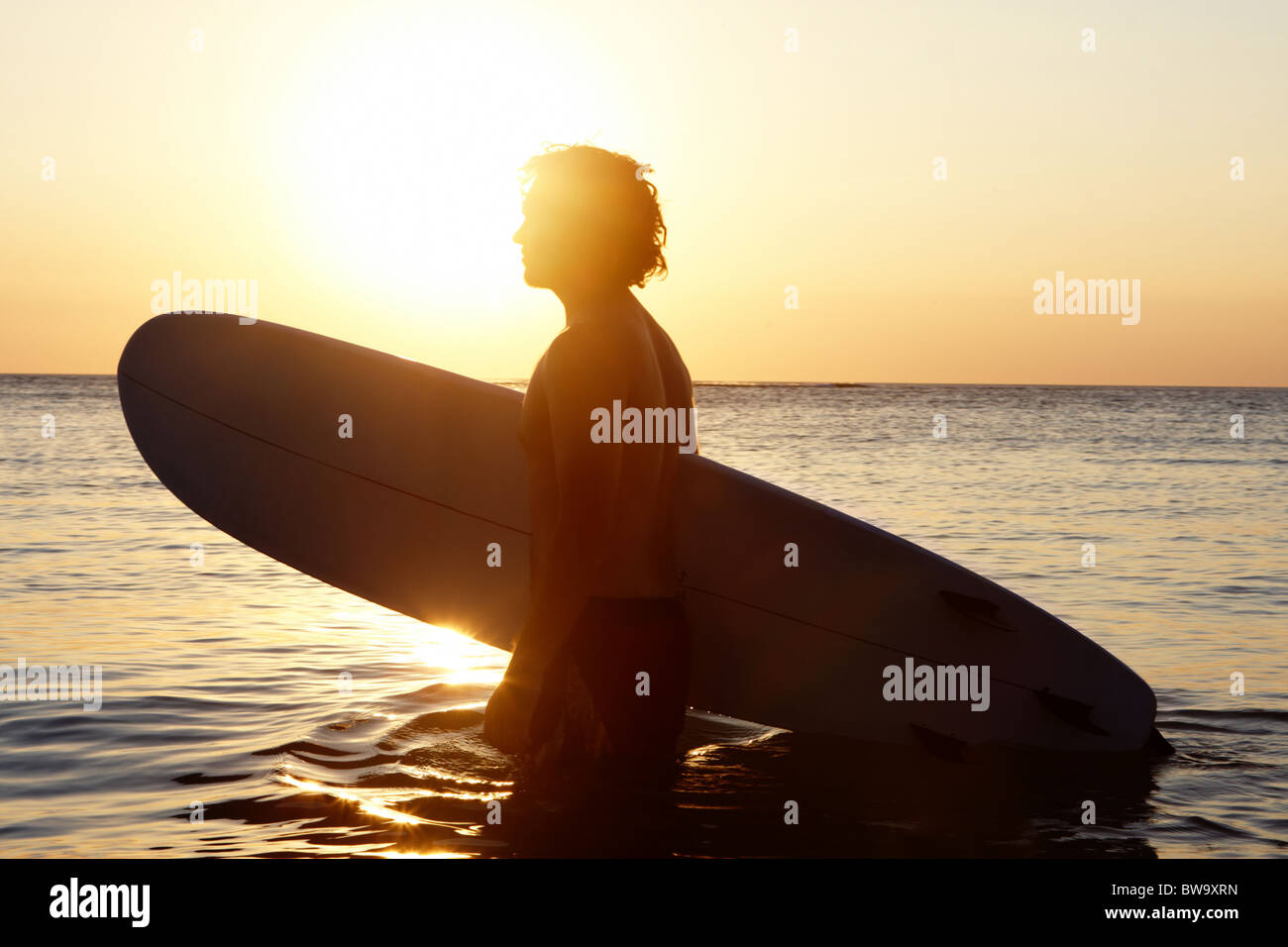 Portrait of young man in water with windsurf board at sunset Stock Photo