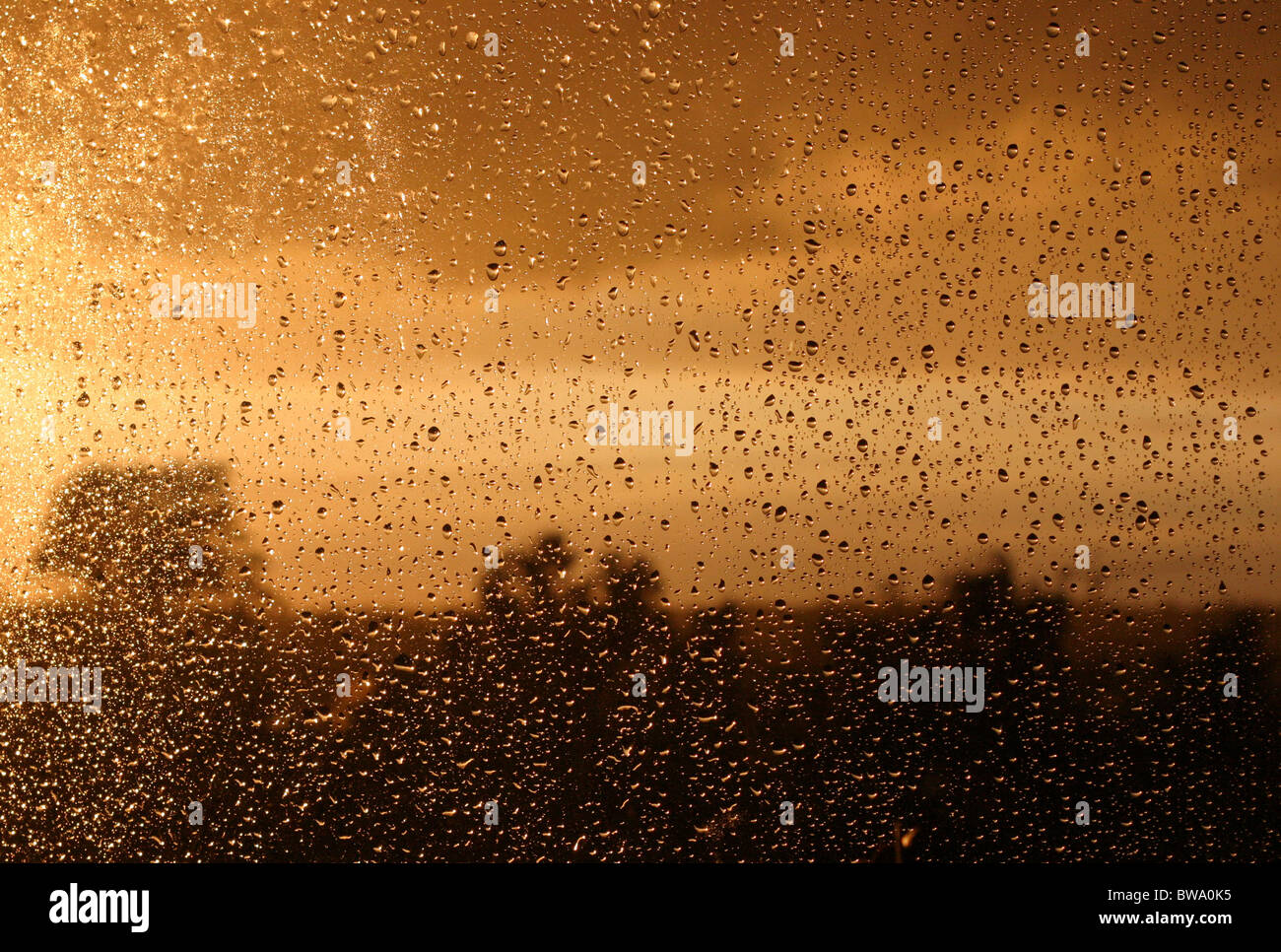 View trough a window covered with raindrops Stock Photo