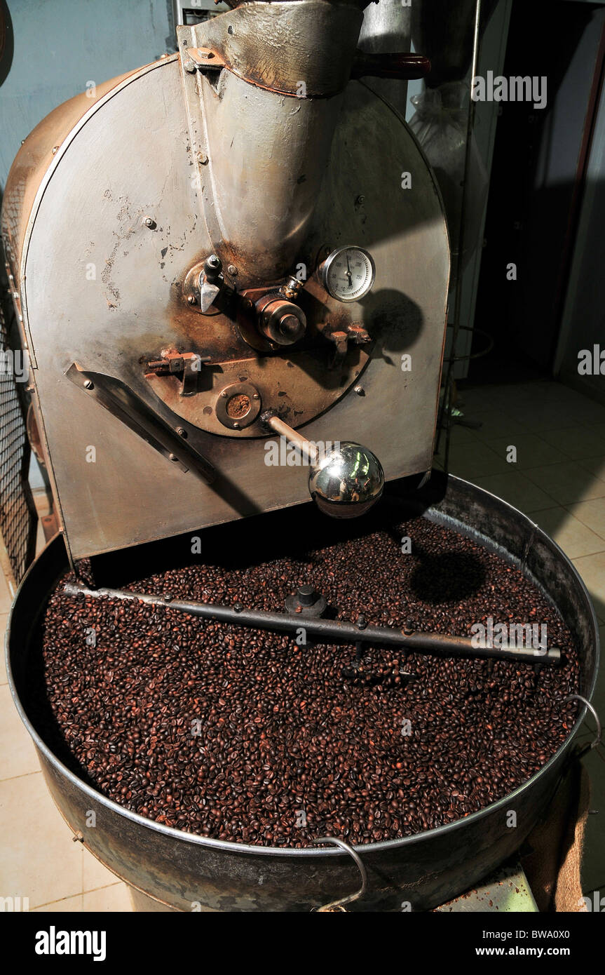 Israel, Nazareth, small coffee roasting shop Beans being roasted in a