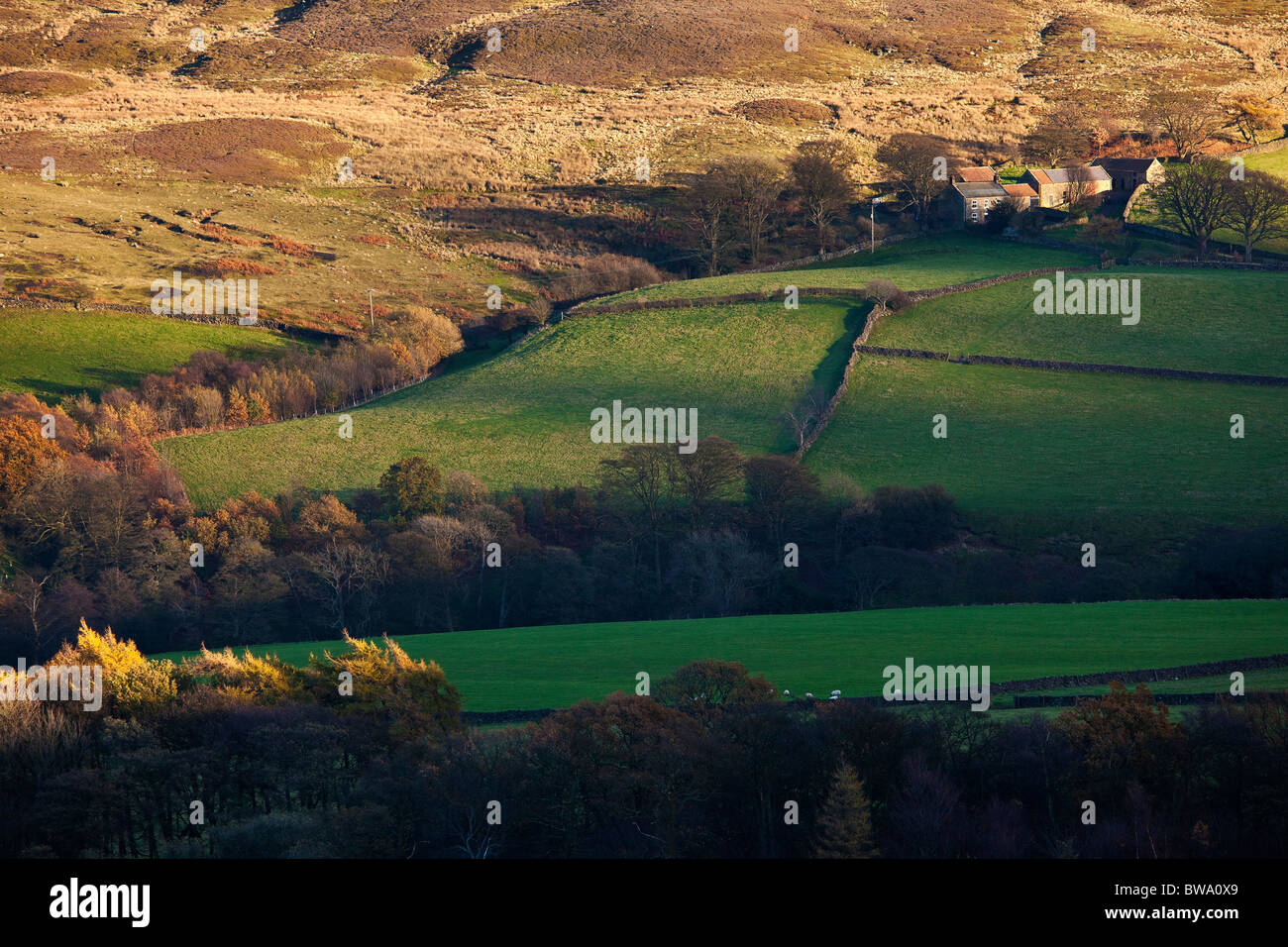 Remote farmhouse, Westerdale, North York Moors National Park, Yorkshire Stock Photo