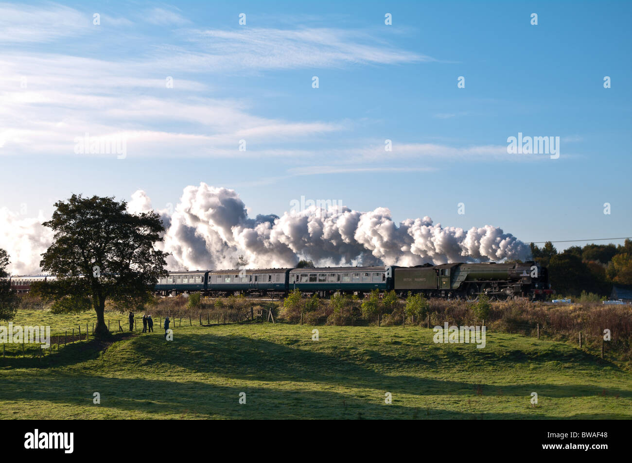 Tornado steam train passing through Burrs Country Park, Bury, Lancashire Stock Photo